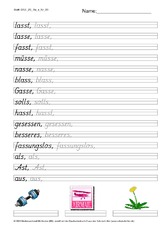 DSS_2S_Bu_s_Nr_03.pdf